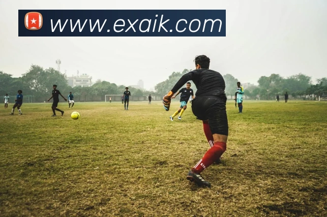 开云手机网页入口APP 体育赛事宣传图